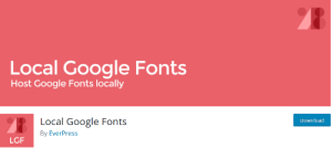 Local Google Fonts Plugin